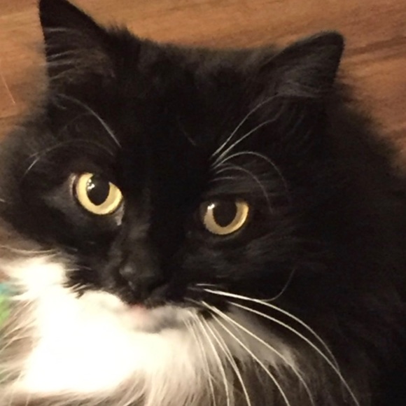 Meet your Posher, Kimberly - Picture 14 of 16